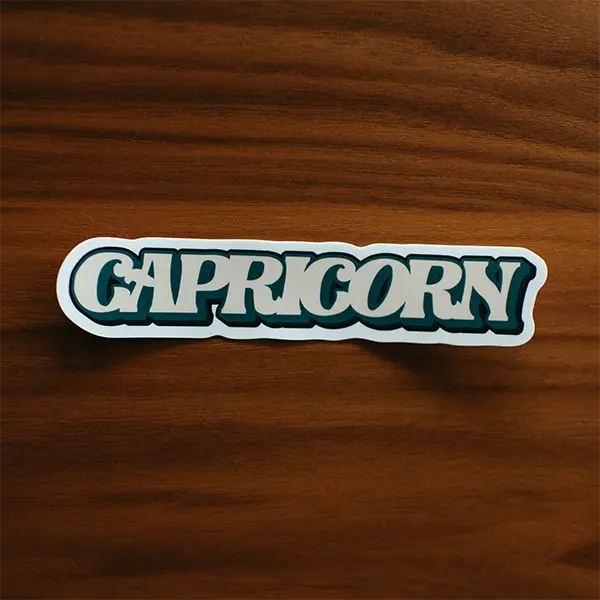Capricorn Aesthetic Zodiac Premium Vinyl Sticker