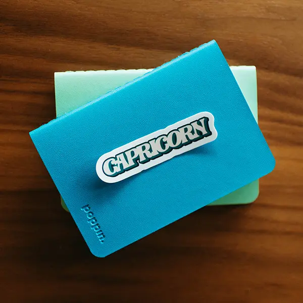 Capricorn Aesthetic Zodiac Vinyl Sticker