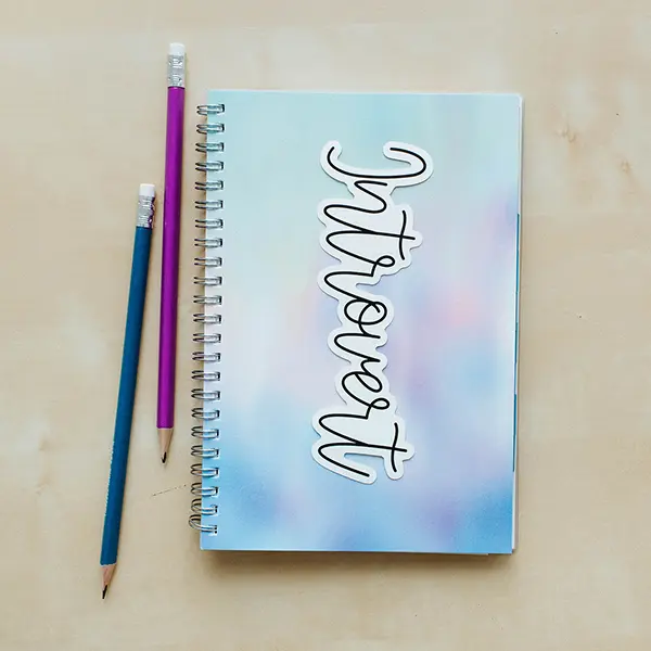 Introvert Vinyl Sticker