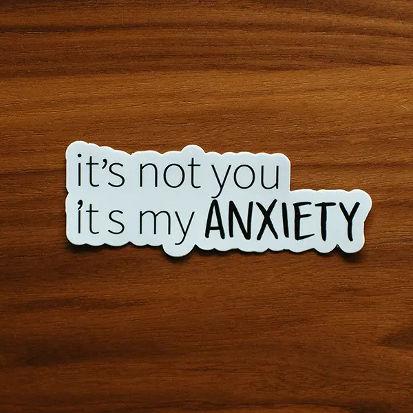 It's Not You It's My Anxiety Vinyl Sticker