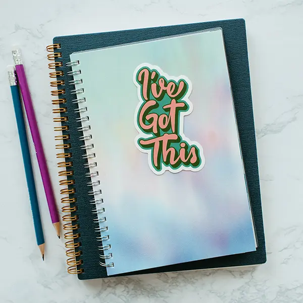 I’ve Got This Green Pink Vinyl Sticker