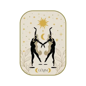 Gemini Zodiac Astrology Sign Vinyl Sticker